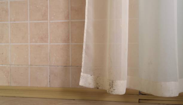 Best Biohazard Mold Removal  in Modesto, CA