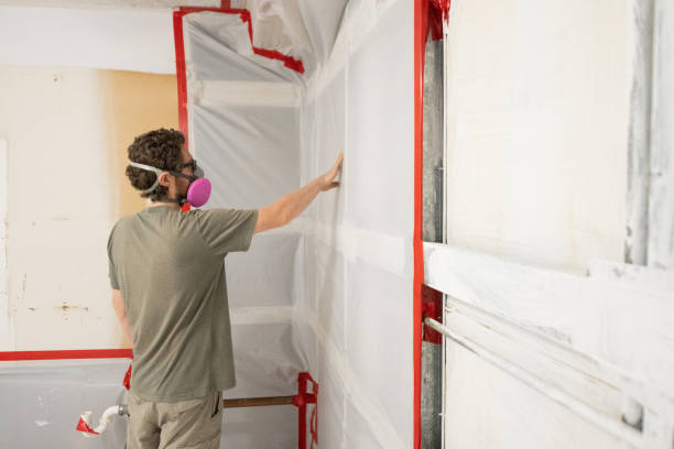 Best Airborne Mold Testing  in Modesto, CA