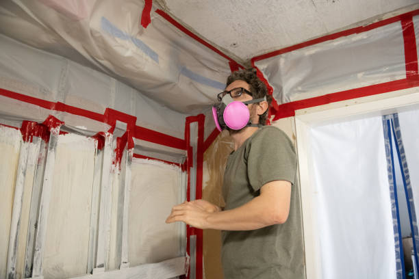 Best Emergency Mold Remediation  in Modesto, CA