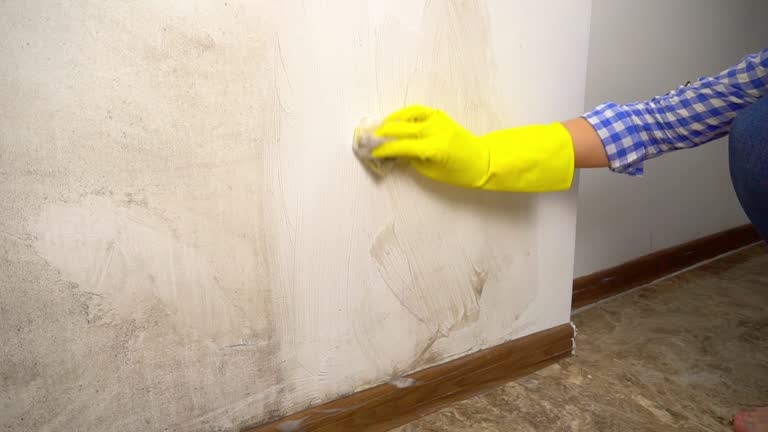Best Mold Prevention Services  in Modesto, CA