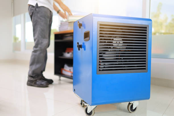 Best Post-Construction Mold Inspection  in Modesto, CA