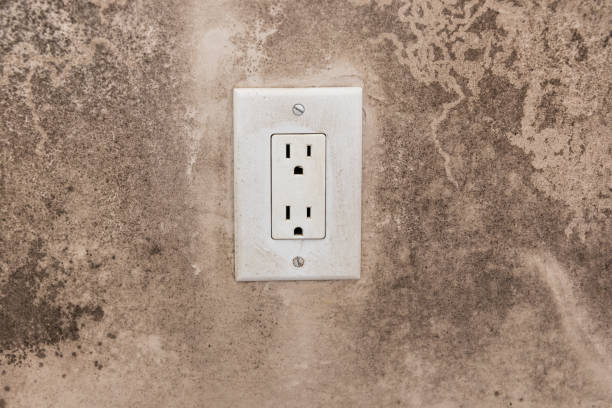 Best Asbestos and Lead Testing During Mold Inspection  in Modesto, CA