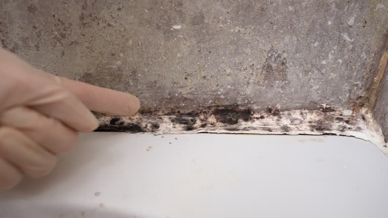 Dehumidification Services in Modesto, CA